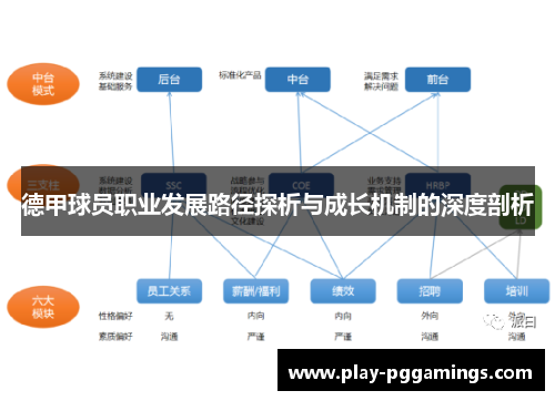 德甲球员职业发展路径探析与成长机制的深度剖析