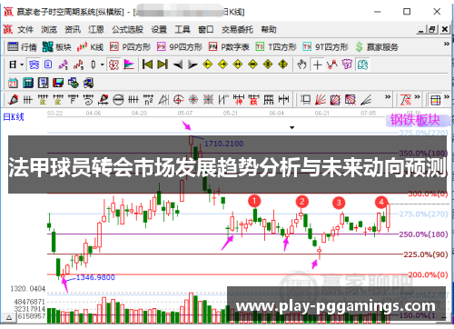 法甲球员转会市场发展趋势分析与未来动向预测