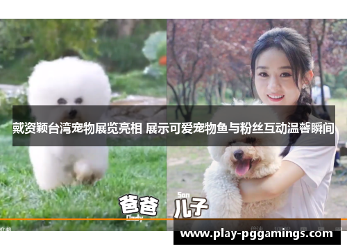 戴资颖台湾宠物展览亮相 展示可爱宠物鱼与粉丝互动温馨瞬间