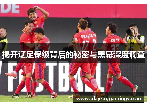 揭开辽足保级背后的秘密与黑幕深度调查